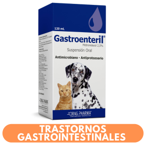 Gastroenteril Oral 120 ml